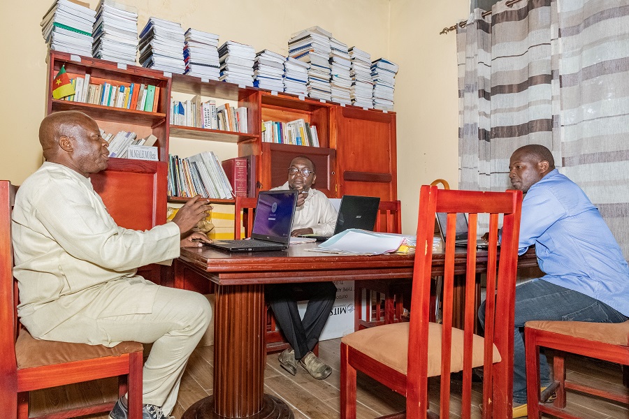 NGALEUMO RENE & PARTNERS